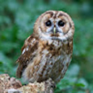 Meet your Posher, Magdalena